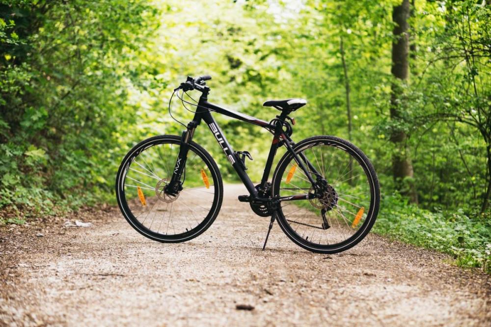 Slika kolesa v naravi - gozdu